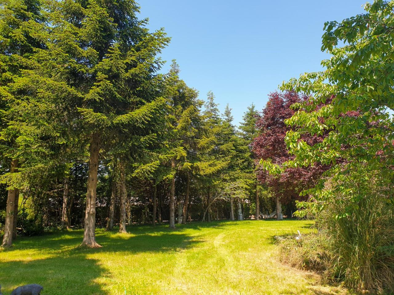 Les Grozilles Bed & Breakfast Feuillade Bagian luar foto